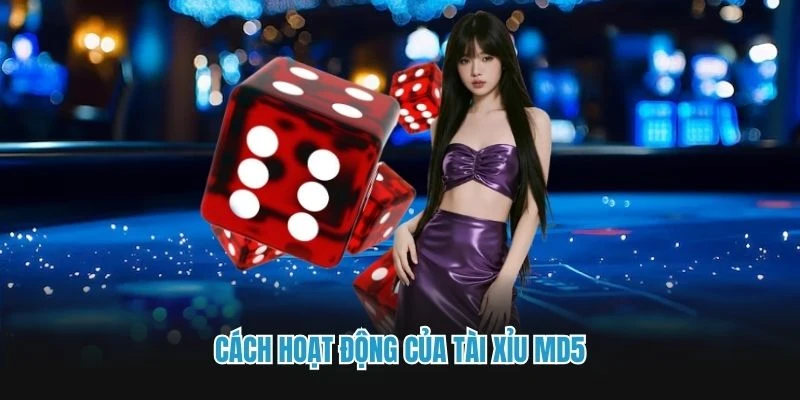 Cách hoạt động của tài xỉu MD5